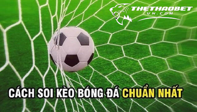 Top 10 trang cá độ bóng đá dkbl uy tín nhất toàn quốc 2024 17 Cách soi kèo cá cược tại trang cá cược bóng đá dkbl uy tín