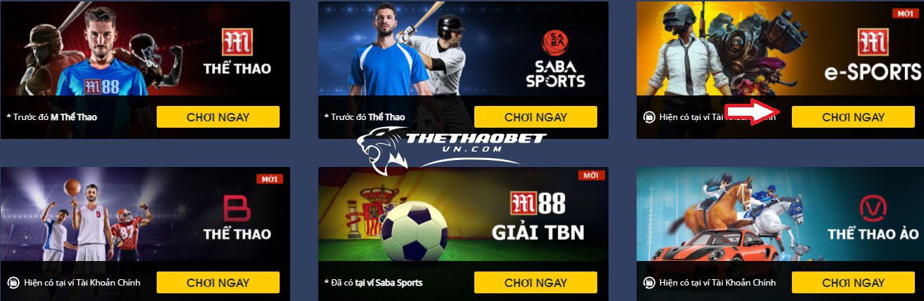 Top 10 trang cá độ bóng đá dkbl uy tín nhất toàn quốc 2024 6 Trang cá độ bóng đá dkbl uy tín nhiều kèo hấp dẫn - M88