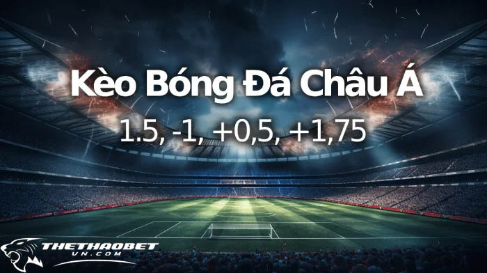 Top 10 trang cá độ bóng đá dkbl uy tín nhất toàn quốc 2024 14 Trang cá cược bóng đá dkbl có kèo Châu Á cuốn hút