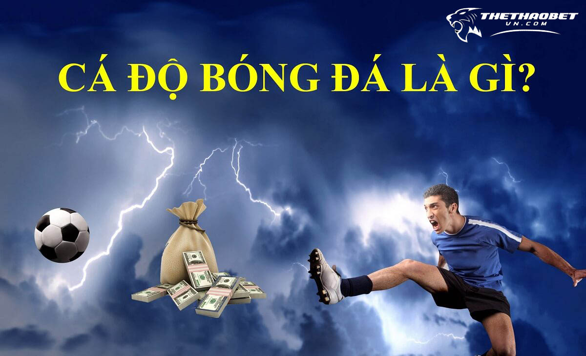 Tổng hợp 7 cách cá độ bóng đá không thua hiệu quả nhất 4 cá độ bóng đá là gì