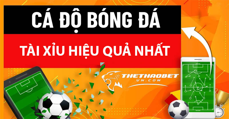 Tổng hợp 7 cách cá độ bóng đá không thua hiệu quả nhất 2 cách cá độ bóng đá tài xỉu hiệu quả