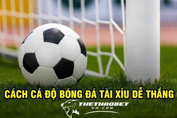 Tổng hợp 7 cách cá độ bóng đá không thua hiệu quả nhất 3 cách cá độ bóng đá tài xỉu