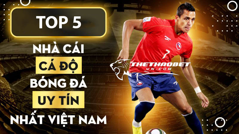 Tổng hợp 7 cách cá độ bóng đá không thua hiệu quả nhất 6 Nhà cái cá độ bóng đá uy tín nhất Việt Nam